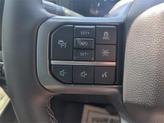 Thumbnail of 2025 White Metallic Ford F-150
