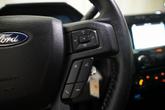 Thumbnail of 2018 Magnetic Ford F-150
