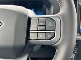 Thumbnail of 2025 Carbonized Gray Metallic Ford F-150
