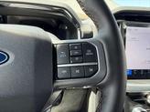 Thumbnail of 2025 Carbonized Gray Metallic Ford F-150