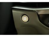 Thumbnail of 2025 Cityscape Green Kia Sorento Hybrid