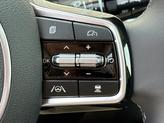 Thumbnail of 2025 Panthera Metal Kia Sorento
