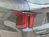 Thumbnail of 2025 Panthera Metal Kia Sorento