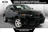 Photo of 2024 8 Ball Dodge Hornet