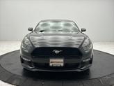 Thumbnail of 2015 BLACK Ford Mustang