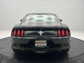Thumbnail of 2015 BLACK Ford Mustang