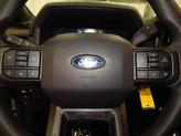 Thumbnail of 2025 Oxford White Ford F-150