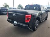 Thumbnail of 2022 Agate Black Metallic Ford F-150