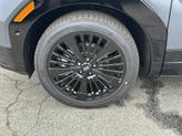 Thumbnail of 2025 Gray Matte Hyundai SANTA FE HEV