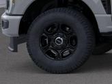 Thumbnail of 2026 Avalanche Ford F-250