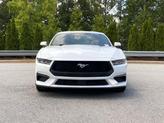 Thumbnail of 2024 Oxford White Ford Mustang