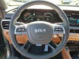 Thumbnail of 2025 Jungle Green Kia Telluride