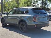 Thumbnail of 2025 Jungle Green Kia Telluride