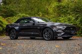 Thumbnail of 2022 Gray Ford Mustang