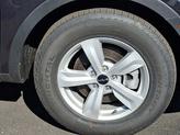 Thumbnail of 2025 Panthera Metal Kia Sorento
