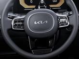 Thumbnail of 2025 Panthera Metal Kia Sorento