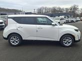 Thumbnail of 2025 Snow White Pearl Kia Soul