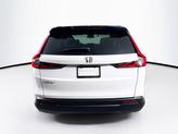 Thumbnail of 2026 Platinum White Pearl Honda CR-V