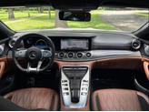 Thumbnail of 2021 designo Diamond White Metallic Mercedes-Benz AMG GT 63