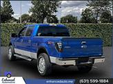 Thumbnail of 2010 Blue Flame Metallic Ford F-150