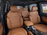 Thumbnail of 2025 Jungle Green Kia Telluride