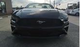 Thumbnail of 2019 Shadow Black Ford Mustang
