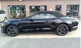 Thumbnail of 2019 Shadow Black Ford Mustang