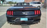 Thumbnail of 2019 Shadow Black Ford Mustang