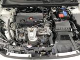 Thumbnail of 2024 White Honda Civic