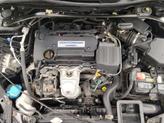 Thumbnail of 2014 Black Honda Accord