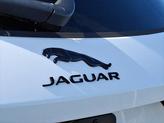 Thumbnail of 2026 Fuji White - 1AA Jaguar F-PACE