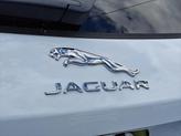 Thumbnail of 2026 Fuji White Jaguar F-PACE