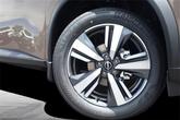 Thumbnail of 2025 Baja Storm Met Nissan Rogue