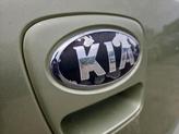Thumbnail of 2013 Alien Pearl Metallic Kia Soul