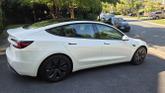 Photo of 2024 White Tesla Model 3