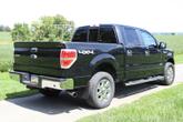Thumbnail of 2014 Black Ford F-150