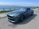 Photo of 2019 Green Ford Mustang