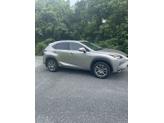 Photo of 2016 Silver Lexus NX 200t