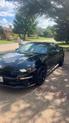 Thumbnail of 2019 Black Ford Mustang
