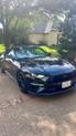 Thumbnail of 2019 Black Ford Mustang