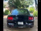Thumbnail of 2019 Black Ford Mustang