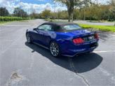 Thumbnail of 2015 Blue Ford Mustang