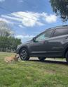 Thumbnail of 2024 Gray Subaru Crosstrek