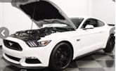 Thumbnail of 2015 White Ford Mustang