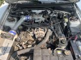 Thumbnail of 2001 White Ford Mustang