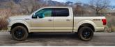 Thumbnail of 2018 Gold Ford F-150