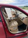 Thumbnail of 2013 Red Porsche Cayenne