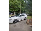 Thumbnail of 2001 White Ford Mustang
