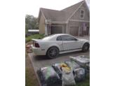 Thumbnail of 2001 White Ford Mustang