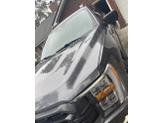 Thumbnail of 2021 Gray Ford F-150